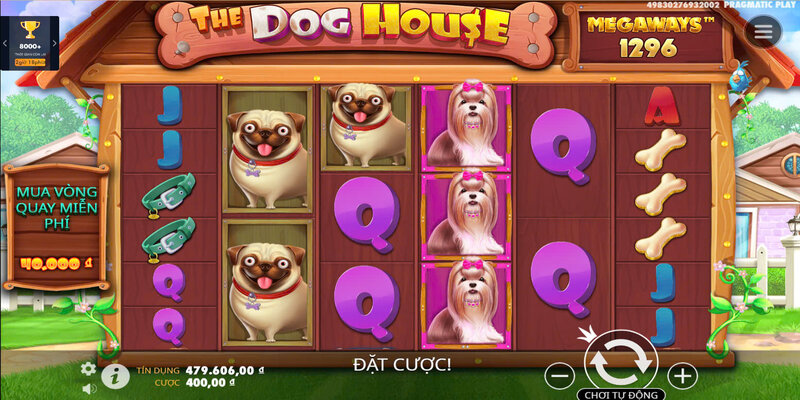 Tính năng đặc biệt trong game slot Ngôi nhà cún